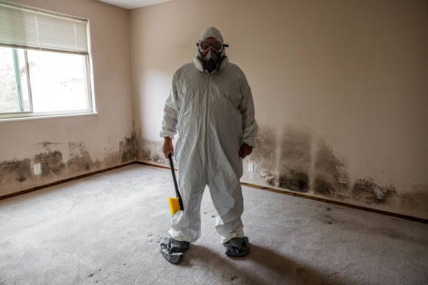 Best Post-Construction Mold Inspection  in Marshall, MI