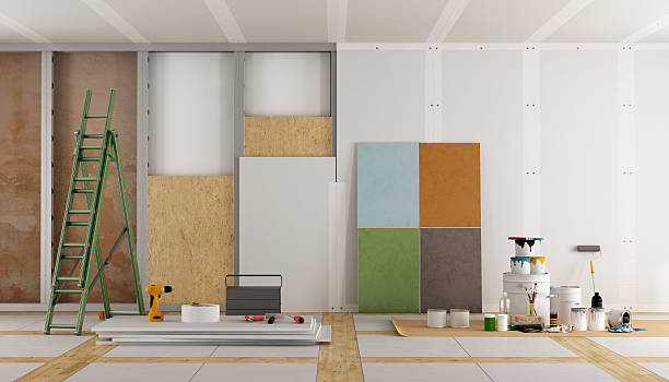 Best Mold Damage Restoration  in Marshall, MI